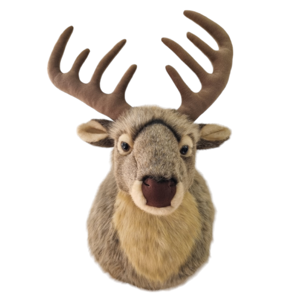 wall mounted deer head taxidermy