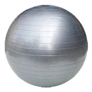 Vector Proton Gym Ball