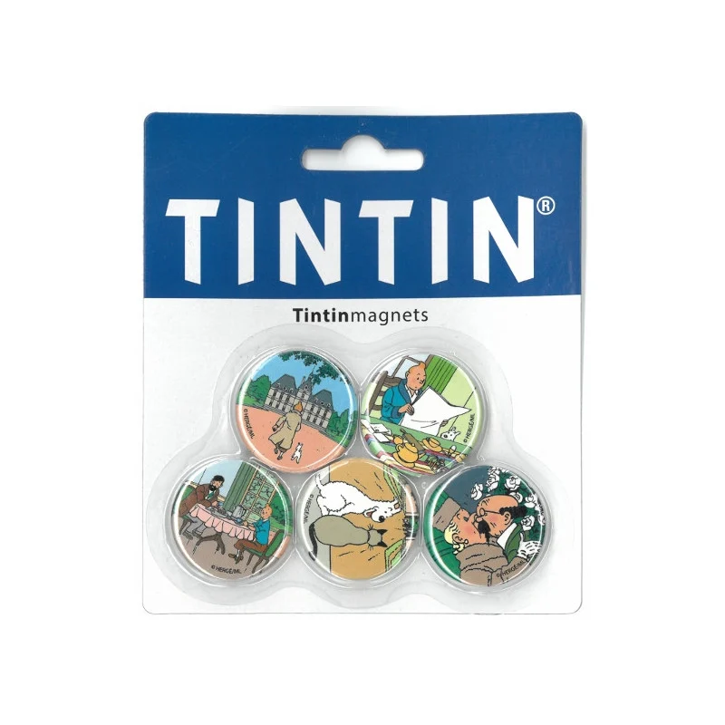 Tintin Series Magnet - Set of 5 round magnets