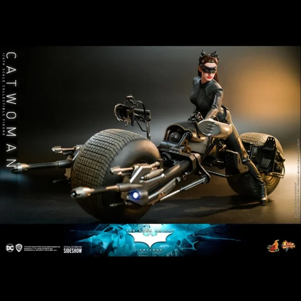 Hot Toys 1/6 Scale Catwoman Figure for Collectors 15+ Years (Adult Collectors Only) - Image 7